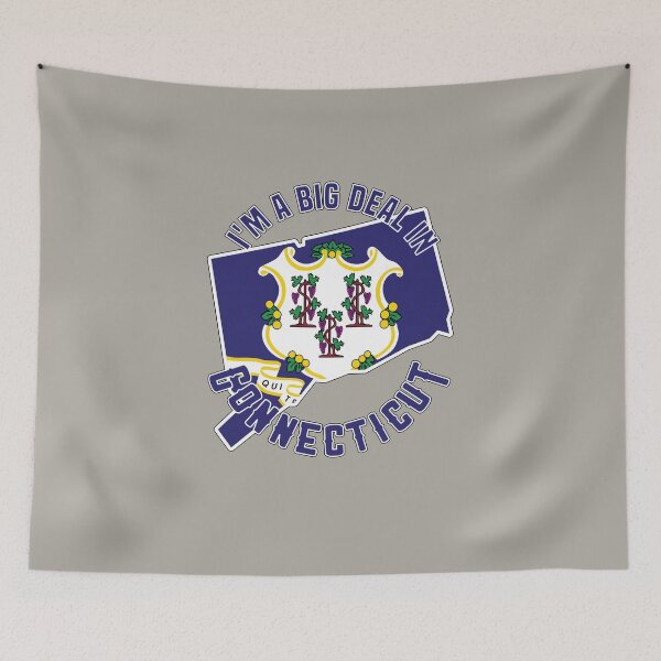 Item preview, I'm a big deal in Connecticut designed and sold by GamerGeekMedia.