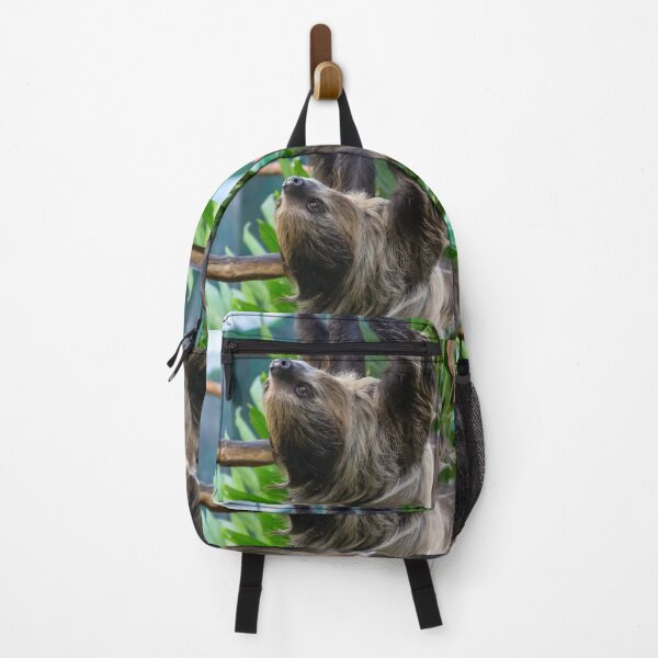 Item preview, Two-toed Sloth at the National Zoo designed and sold by Zoo and Nature Photography by Karie.