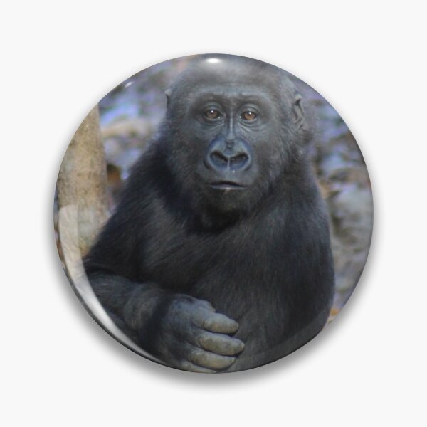 Item preview, Gorilla Mija at Zoo Atlanta designed and sold by Zoo and Nature Photography by Karie.