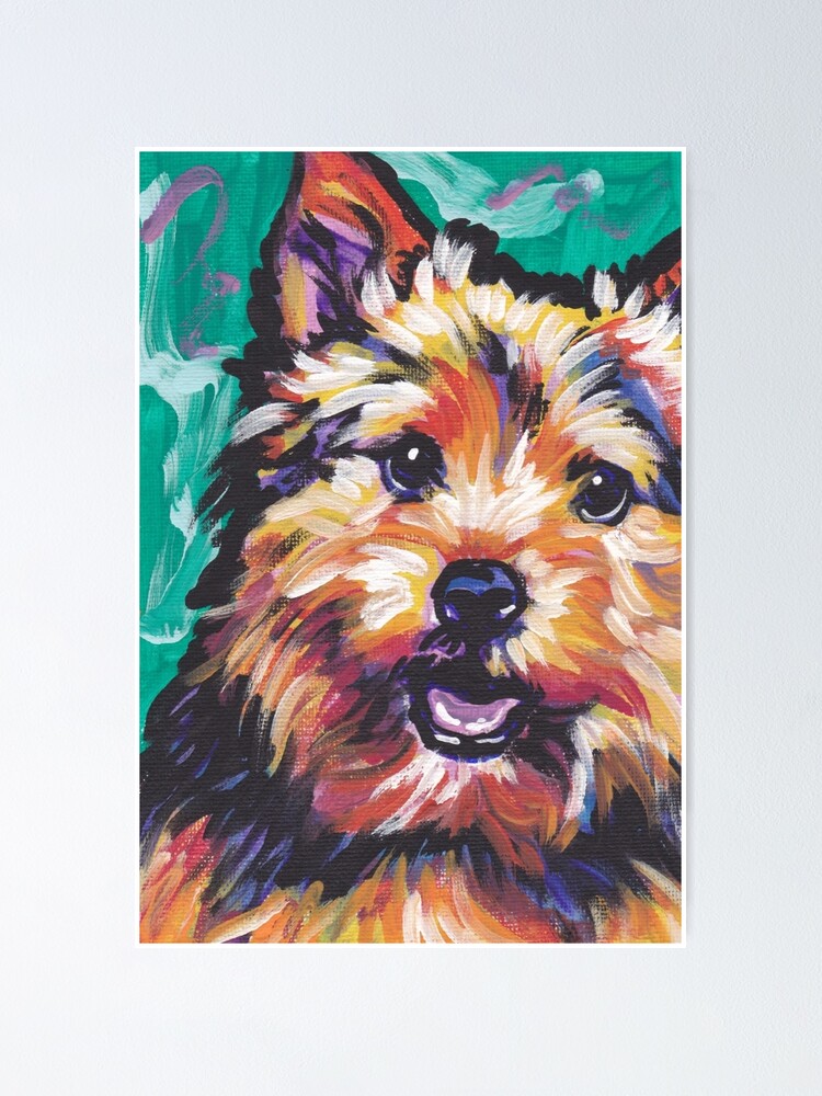 "Norwich Terrier Dog Bright colorful pop dog art" Poster for Sale by