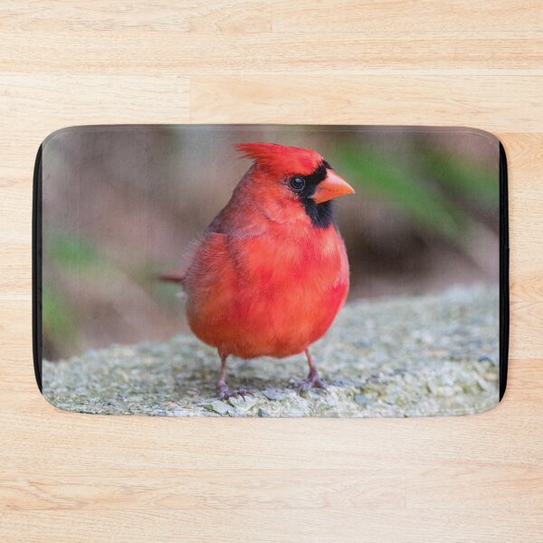 Item preview, Cardinal designed and sold by Zoo and Nature Photography by Karie.
