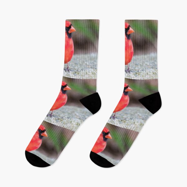 Item preview, Cardinal designed and sold by Zoo and Nature Photography by Karie.