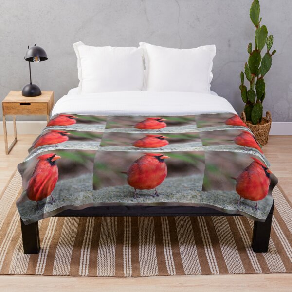 Item preview, Cardinal designed and sold by Zoo and Nature Photography by Karie.
