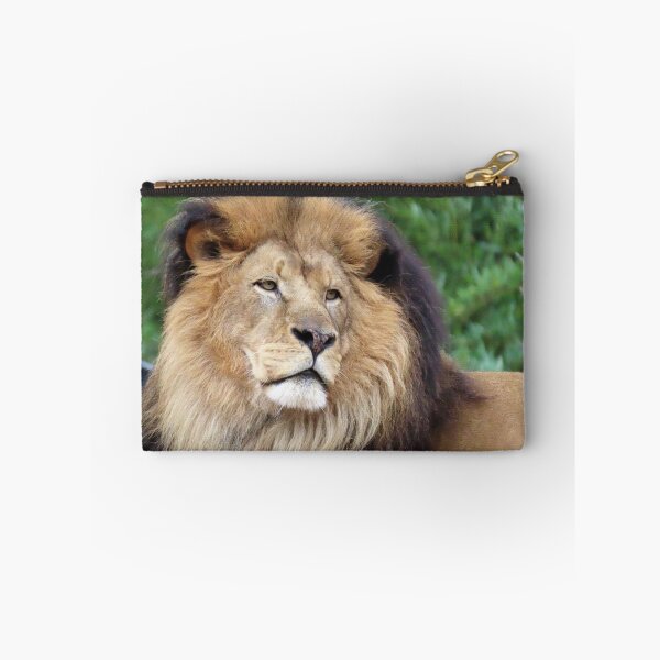 Item preview, Luke the African Lion at the National Zoo designed and sold by Zoo and Nature Photography by Karie.