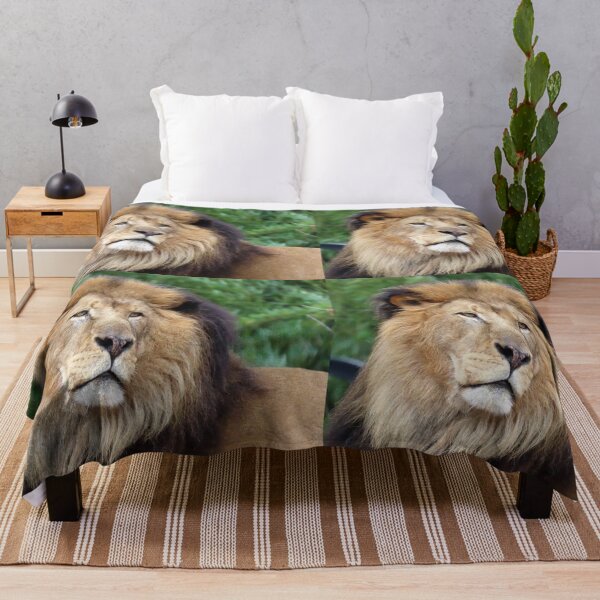 Item preview, Luke the African Lion at the National Zoo designed and sold by Zoo and Nature Photography by Karie.