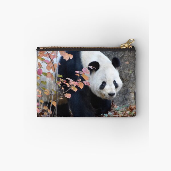 Item preview, Giant Panda Tian Tian at the National Zoo designed and sold by Zoo and Nature Photography by Karie.