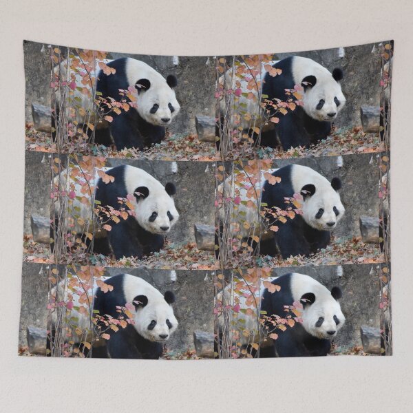 Item preview, Giant Panda Tian Tian at the National Zoo designed and sold by Zoo and Nature Photography by Karie.