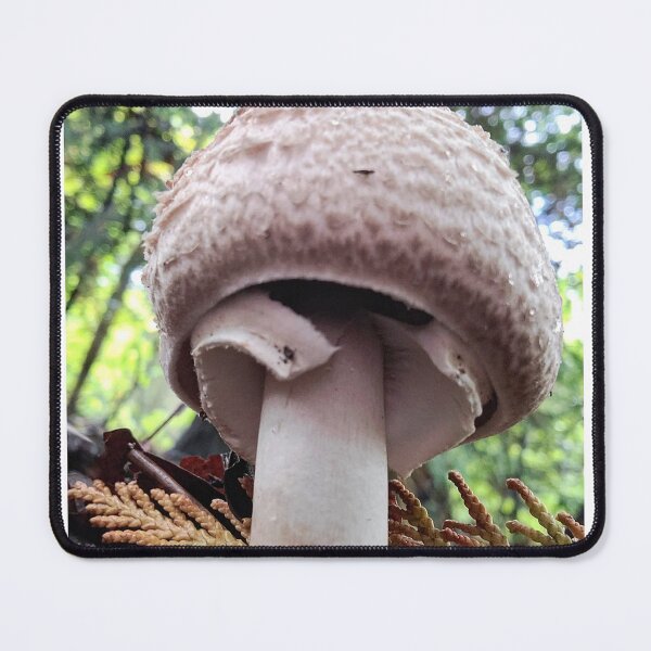 Item preview, Mushroom Mighty designed and sold by J. Loco Photography.