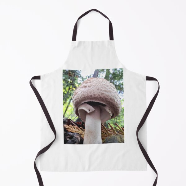 Item preview, Mushroom Mighty designed and sold by J. Loco Photography.