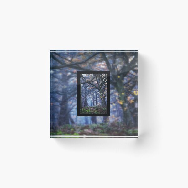 Item preview, The Enchanted Forest Portrait with Single Border designed and sold by Sam Stormborn Ormandy.