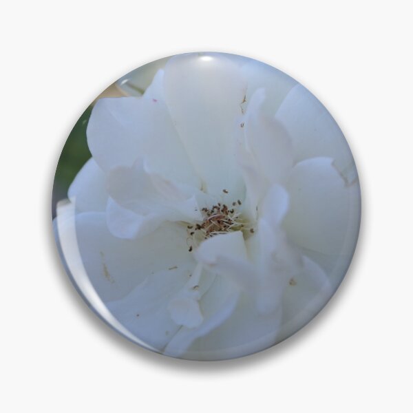 Item preview, White Summer Rose designed and sold by Honey Myrtle Studio.