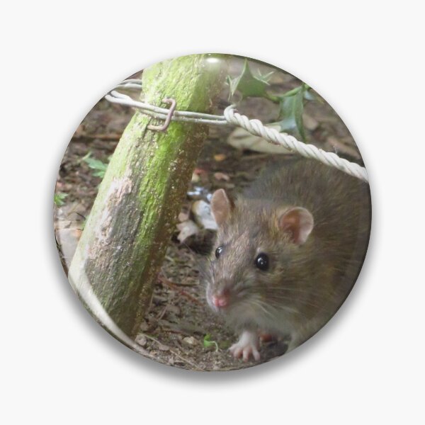 Item preview, Happy Christmas Rat Fans designed and sold by wiggyofipswich.