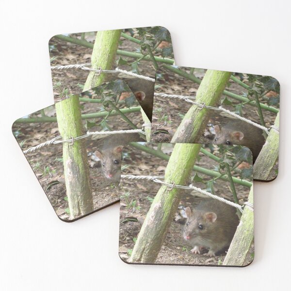 Item preview, Happy Christmas Rat Fans designed and sold by wiggyofipswich.