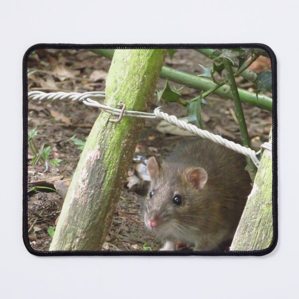 Item preview, Happy Christmas Rat Fans designed and sold by wiggyofipswich.