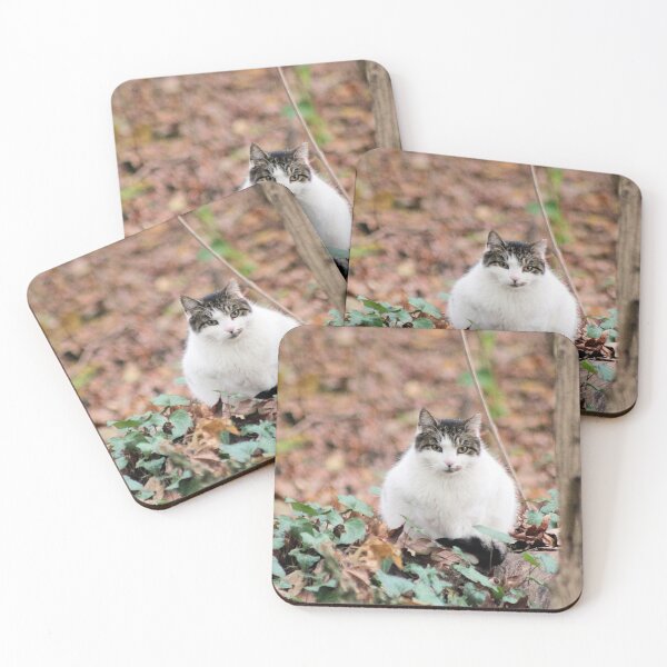 Item preview, FOREST KITTY designed and sold by BOLLA67.