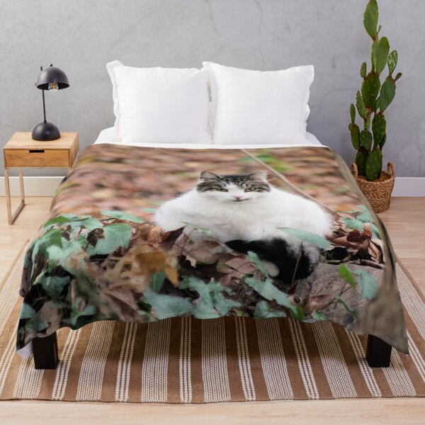 Item preview, FOREST KITTY designed and sold by BOLLA67.