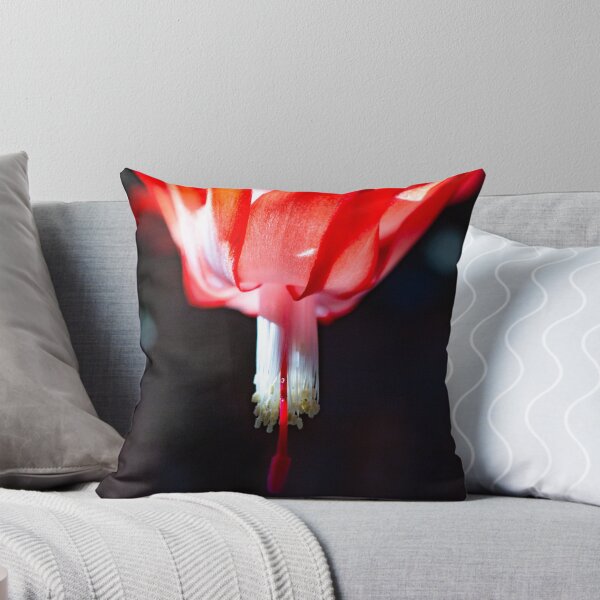 Item preview, Christmas Cactus 3 designed and sold by Denice Breaux.