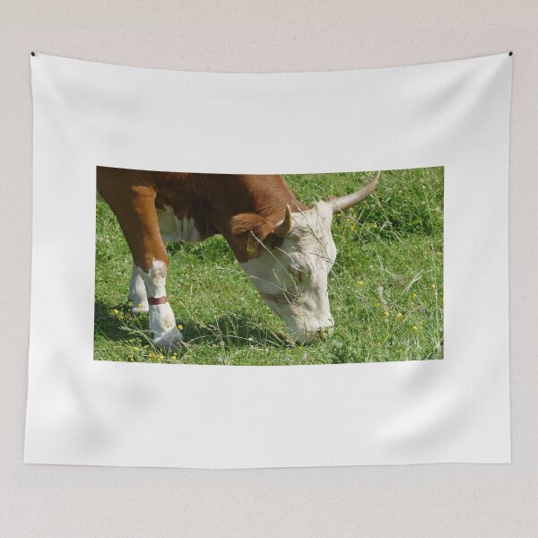 Item preview, cattle designed and sold by Alfi1980.