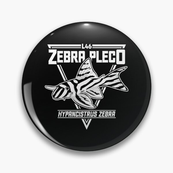 Item preview, L46 Zebra Pleco Hypancistrus designed and sold by TheAplus.