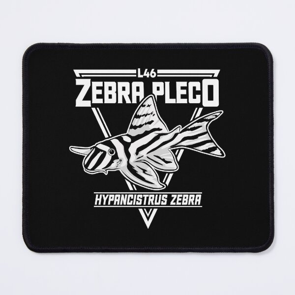 Item preview, L46 Zebra Pleco Hypancistrus designed and sold by TheAplus.