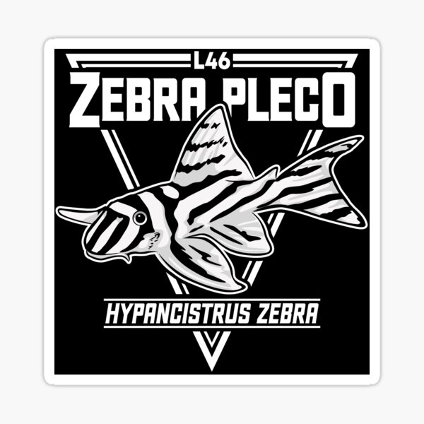 Vista previa del artículo con la obra «L46 Pleco cebra Hypancistrus», diseñado y vendido por TheAplus.