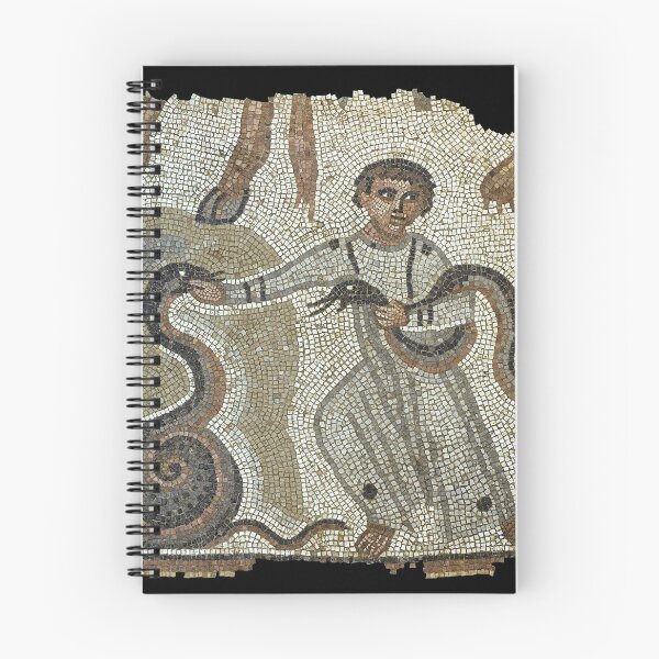 Item preview, Biblical Snake Catcher designed and sold by frederic Lecut.