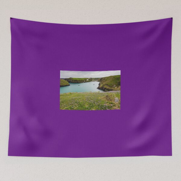 Item preview, Abercastle Harbour in Spring, Pembrokeshire, Wales. UK designed and sold by heidipics.