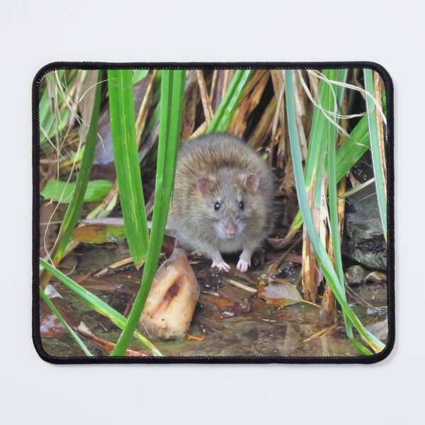 Item preview, Tales Of The Riverbank designed and sold by wiggyofipswich.
