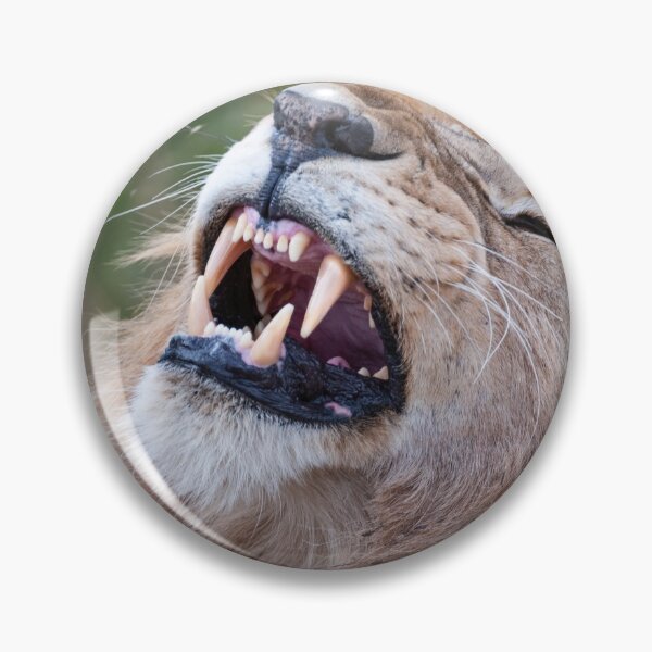 Item preview, Leo bares its teeth designed and sold by Ingo Gerlach.