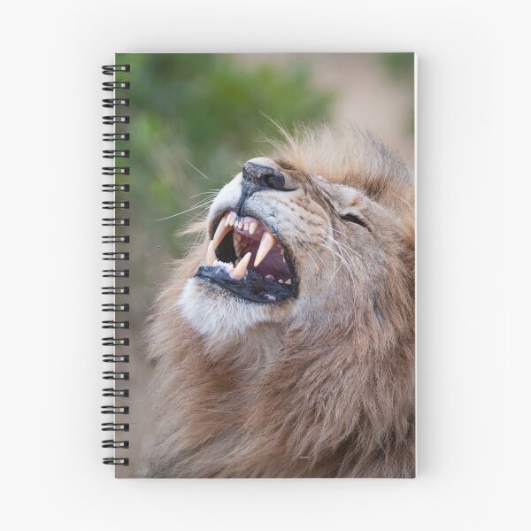 Item preview, Leo bares its teeth designed and sold by Ingo Gerlach.