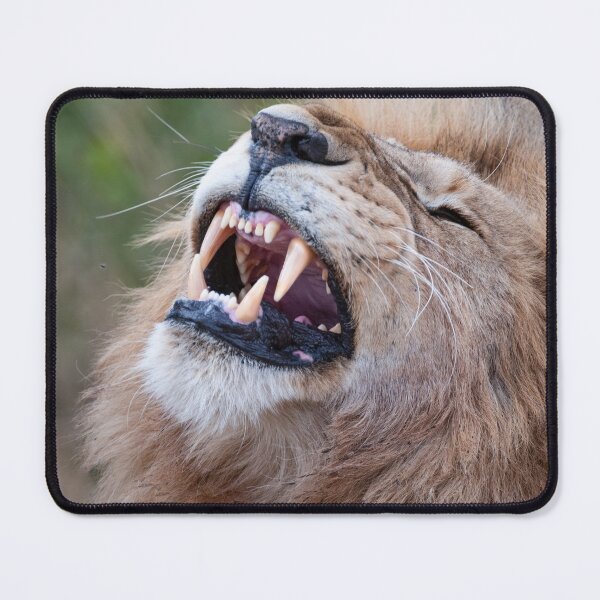 Item preview, Leo bares its teeth designed and sold by Ingo Gerlach.