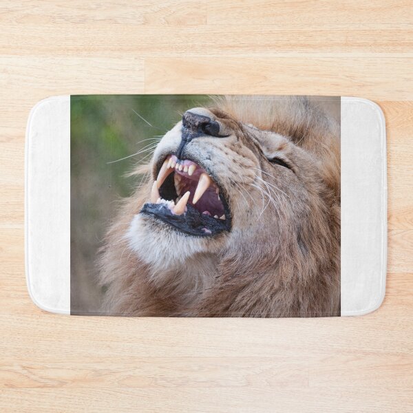 Item preview, Leo bares its teeth designed and sold by Ingo Gerlach.