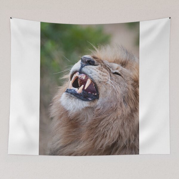 Item preview, Leo bares its teeth designed and sold by Ingo Gerlach.