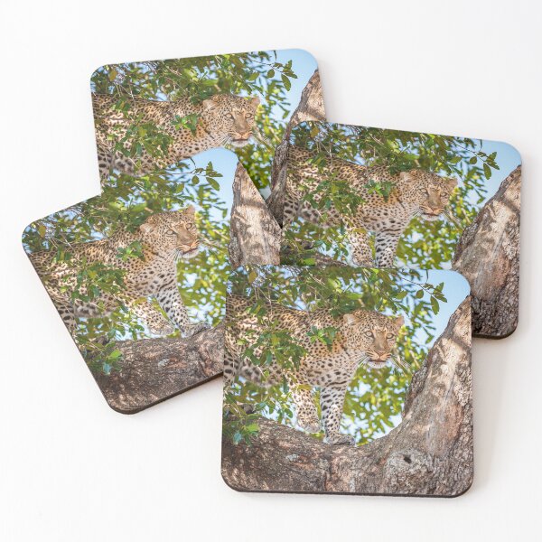 Item preview, Leopard backs up designed and sold by Ingo Gerlach.