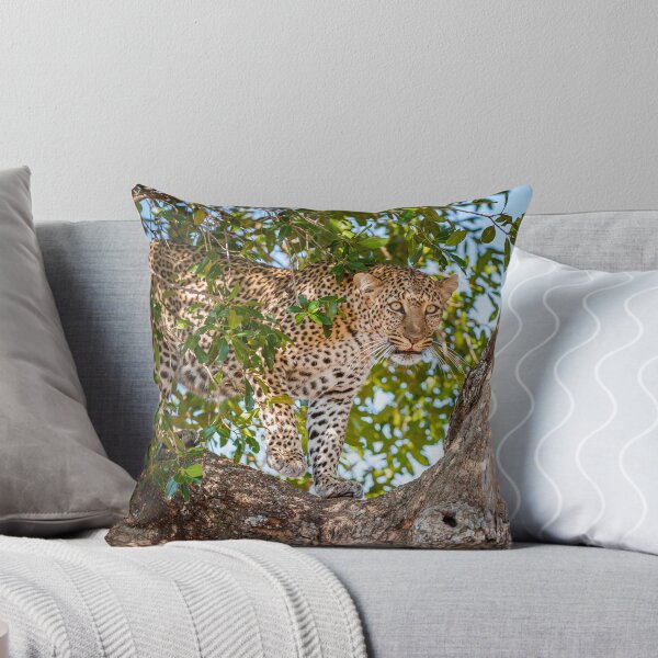 Item preview, Leopard backs up designed and sold by Ingo Gerlach.