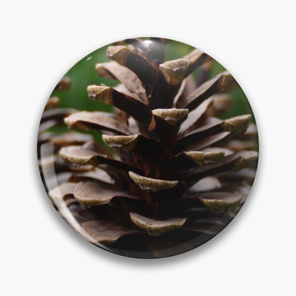 Item preview, Pine cone designed and sold by Sebak1979.