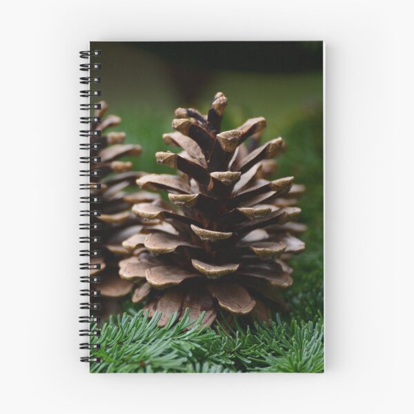 Item preview, Pine cone designed and sold by Sebak1979.