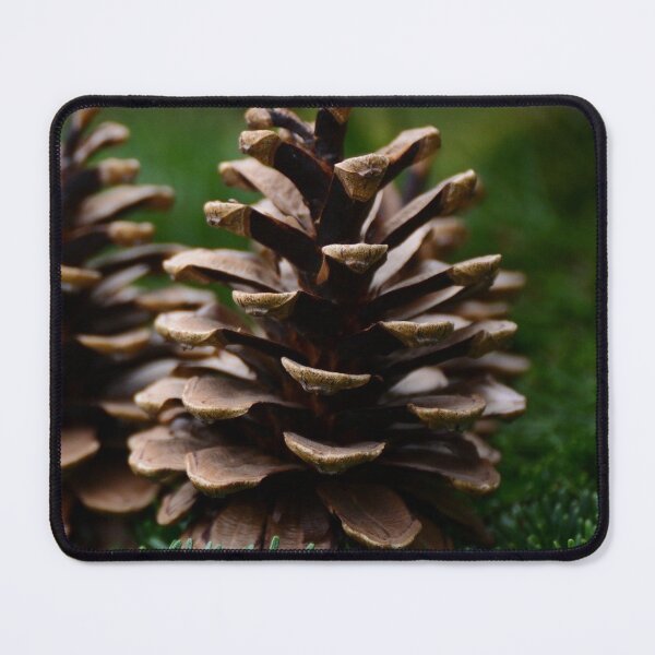 Item preview, Pine cone designed and sold by Sebak1979.