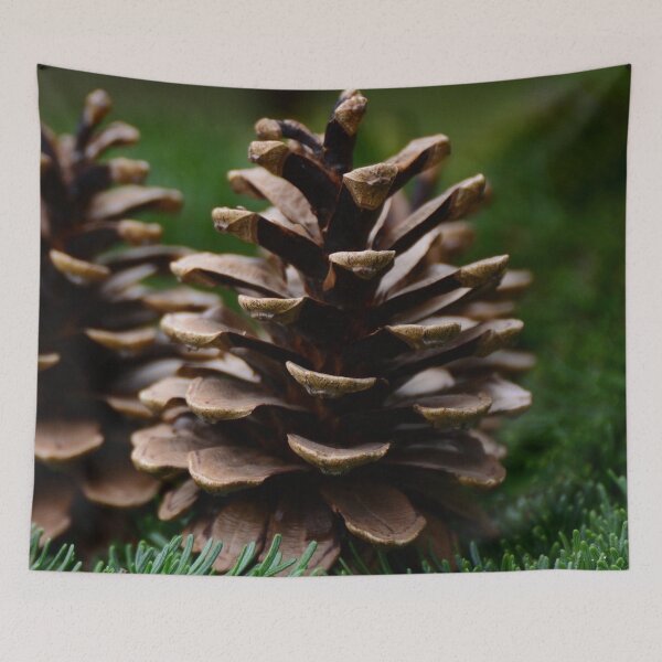 Item preview, Pine cone designed and sold by Sebak1979.
