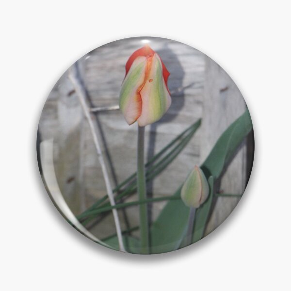 Item preview, Country Orange Springtime Tulip Bushel Basket Background designed and sold by JariHawk.
