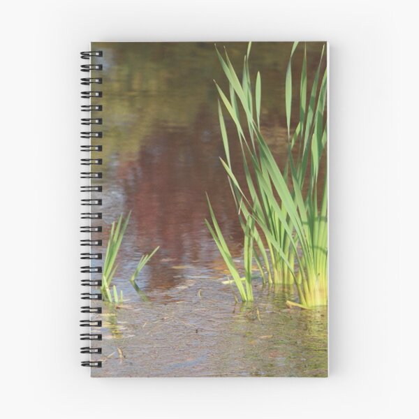 Item preview, Autumn Lake Reflection with Cattails designed and sold by JariHawk.