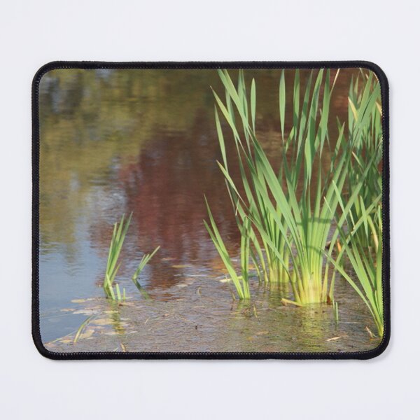 Item preview, Autumn Lake Reflection with Cattails designed and sold by JariHawk.