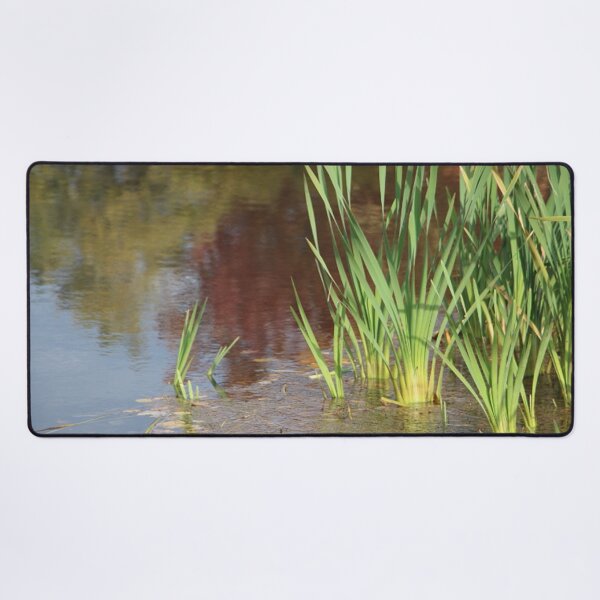 Item preview, Autumn Lake Reflection with Cattails designed and sold by JariHawk.