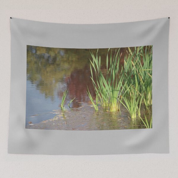 Item preview, Autumn Lake Reflection with Cattails designed and sold by JariHawk.