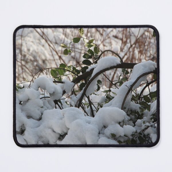 Item preview, Holly Tree Branches Covered with Snow designed and sold by JariHawk.