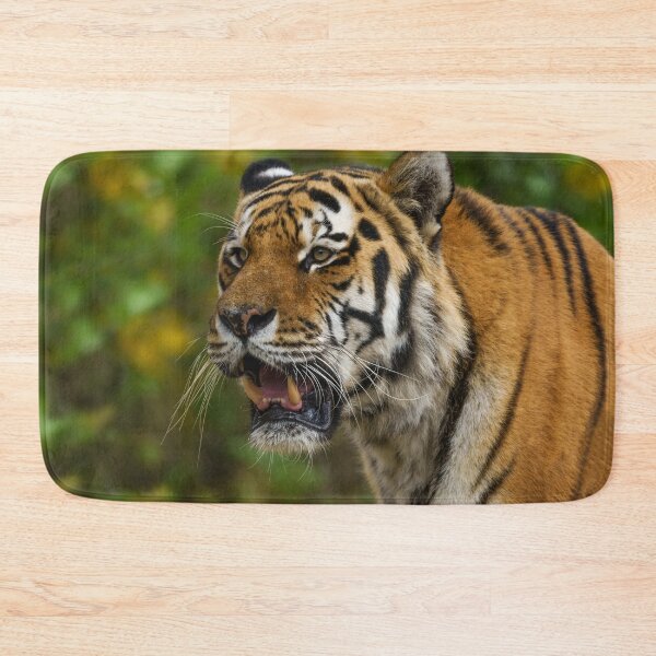 Item preview, Tiger Showing His Teeth designed and sold by rawshutterbug.