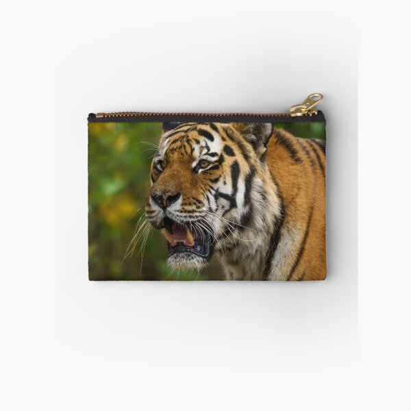 Item preview, Tiger Showing His Teeth designed and sold by rawshutterbug.