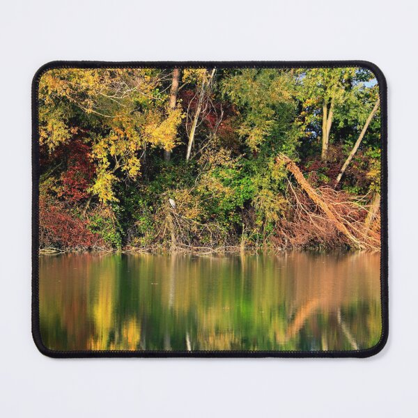 Item preview, Reflections designed and sold by annalisa56.