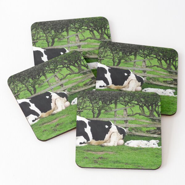 Item preview, Mum Friesian Cow And Newborn Calf designed and sold by Paul Thompson Photography.