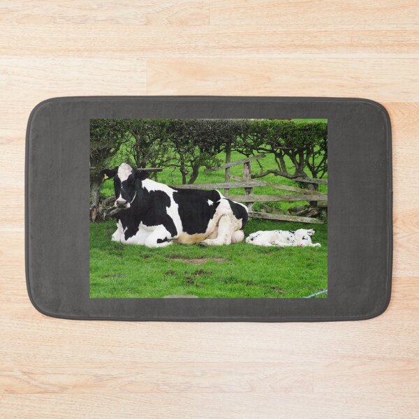 Item preview, Mum Friesian Cow And Newborn Calf designed and sold by Paul Thompson Photography.
